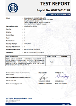 GOLD METAL GROUP (2024-01-30)